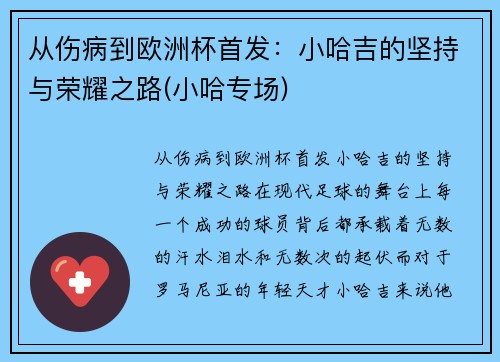 从伤病到欧洲杯首发：小哈吉的坚持与荣耀之路(小哈专场)