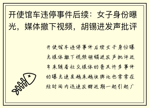 开使馆车违停事件后续：女子身份曝光，媒体撤下视频，胡锡进发声批评